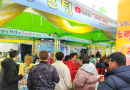 25년 3*1절 축제